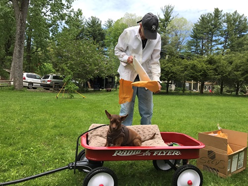 Jenny Bishop and Lucy Planting