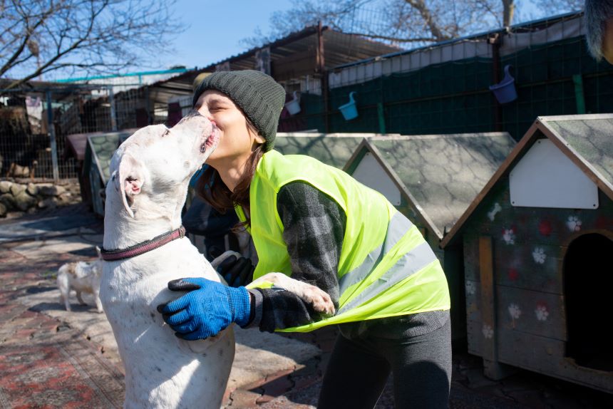 A young woman wearing a volunteer vest is hugging a large white dog outside an animal shelter.