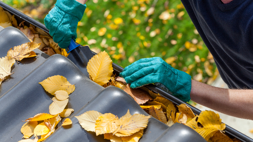 Man cleaning the gutter from autumn leaves. Falling from a ladder is a top cause of falls and head injuries.