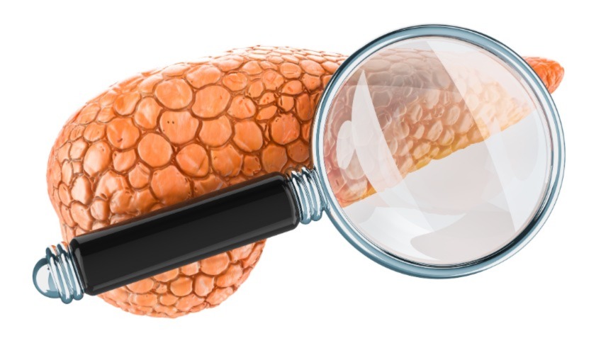 Graphic design of a pancreas with a magnifying glass
