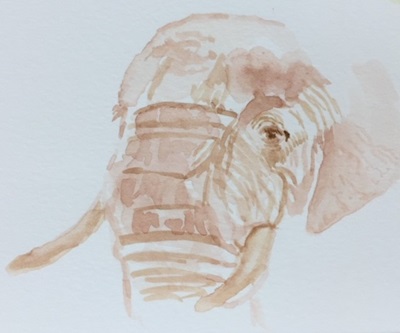 Jayne Davis painted this elephant in watercolors during Frank's glioblastoma surgery