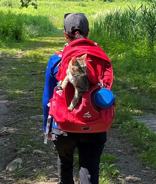 Carolina Herrera hiking with her cat. Carolina Herrera, Norwalk Hospital spinal fusion patient, hiking with her cat in a backpack.
