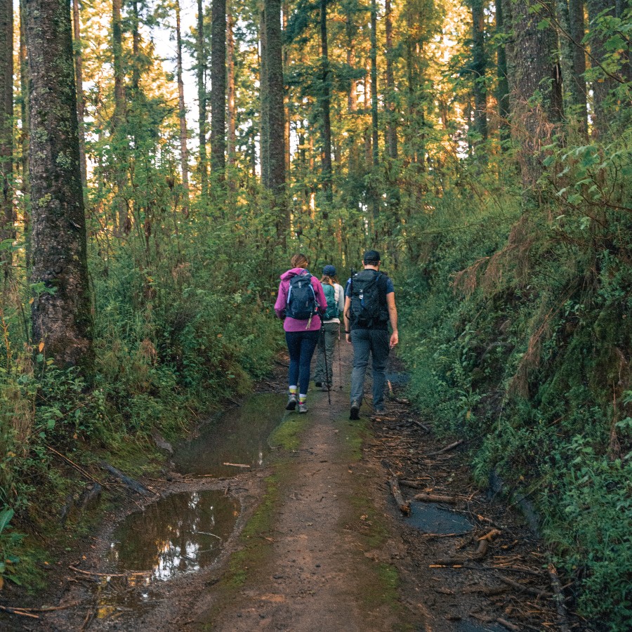 Group of hikers on trail