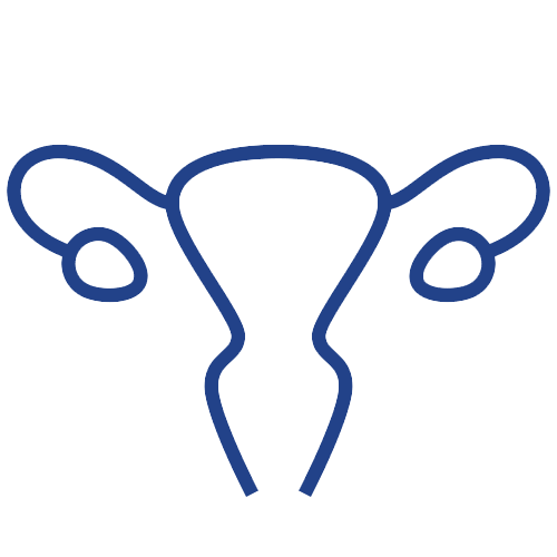 icon of women's ovaries