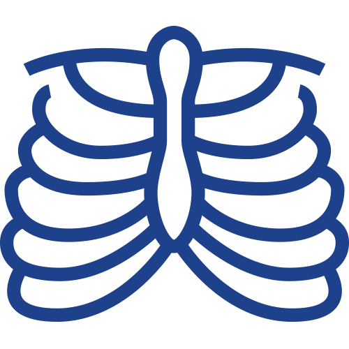 outline of ribcage icon