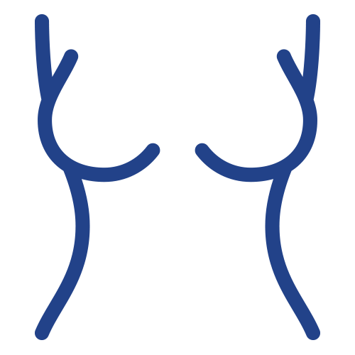 outline of women's torso icon
