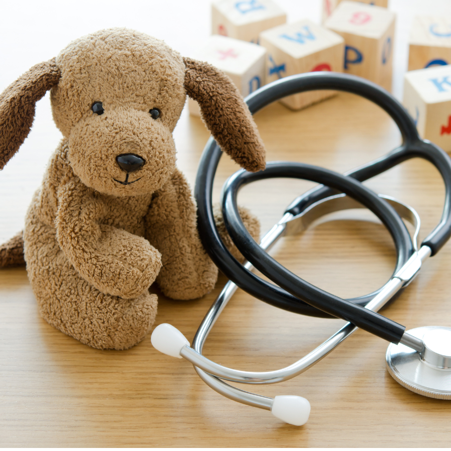 Stuffed animal, blocks and stethoscope