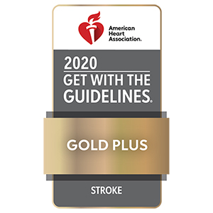 2020 Gold Plus award