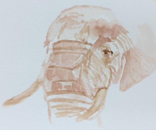 Jayne Davis painted this elephant in watercolors during Franks glioblastoma surgery