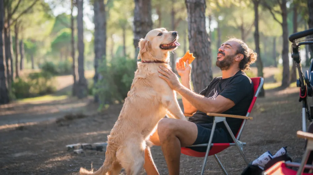 Man relaxing in a forest with his golden retriever.