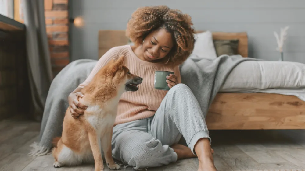 fall wellness