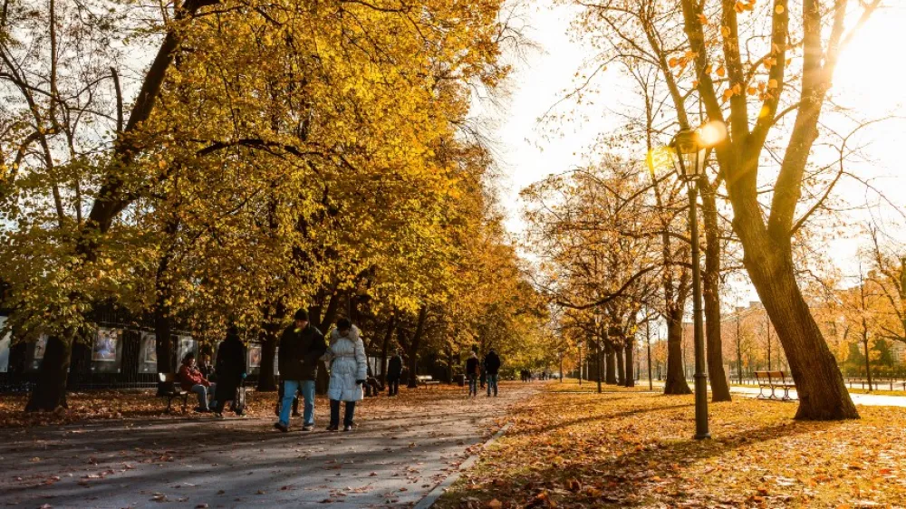 Couple walking during Fall 860x484