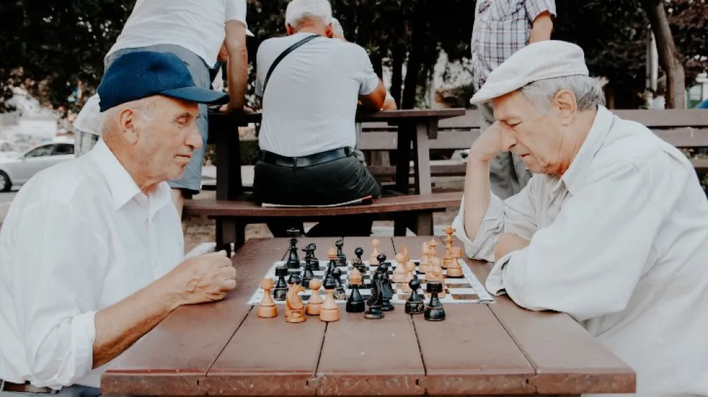 Healthy Aging - Chess