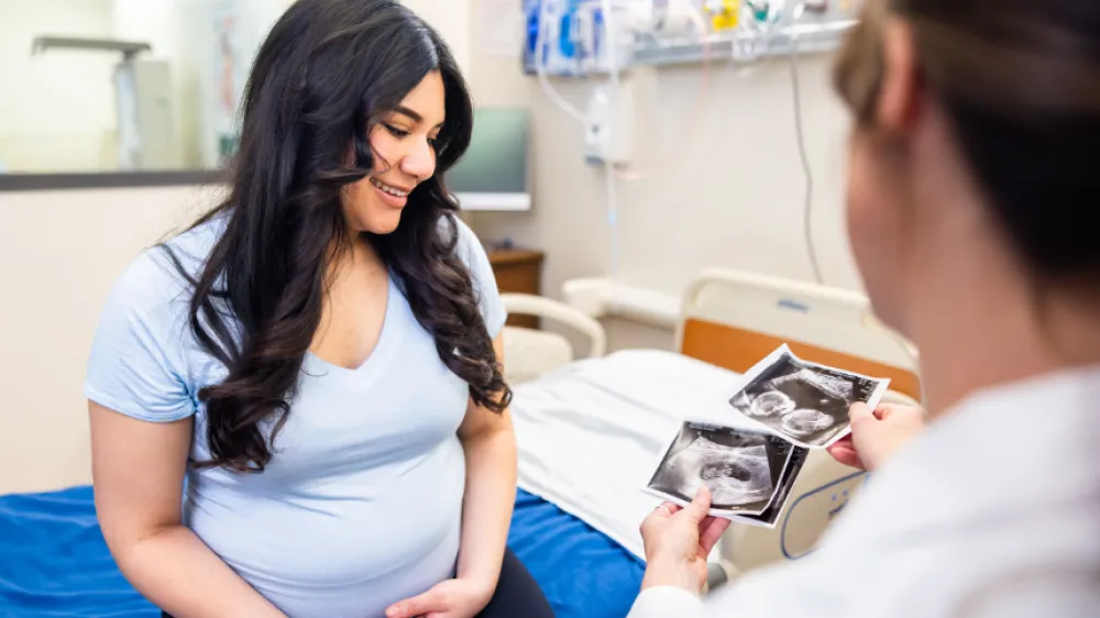 Hero  What Not to Expect 2nd Trimester