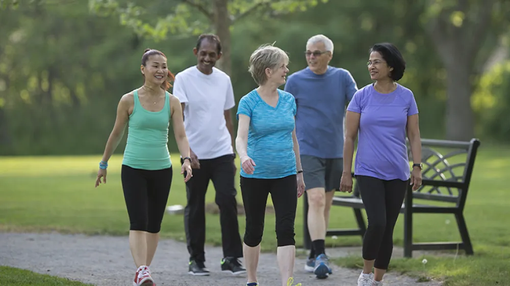 Seniors Walking Group